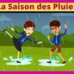La Saison des Pluies – Learn French through Stories | CCube Academy