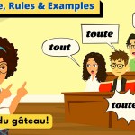 Tout Toute Tous Toutes – Difference, Rules & Examples