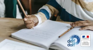 Read more about the article How To Prepare For The DELF Exam? French Grammar Rules