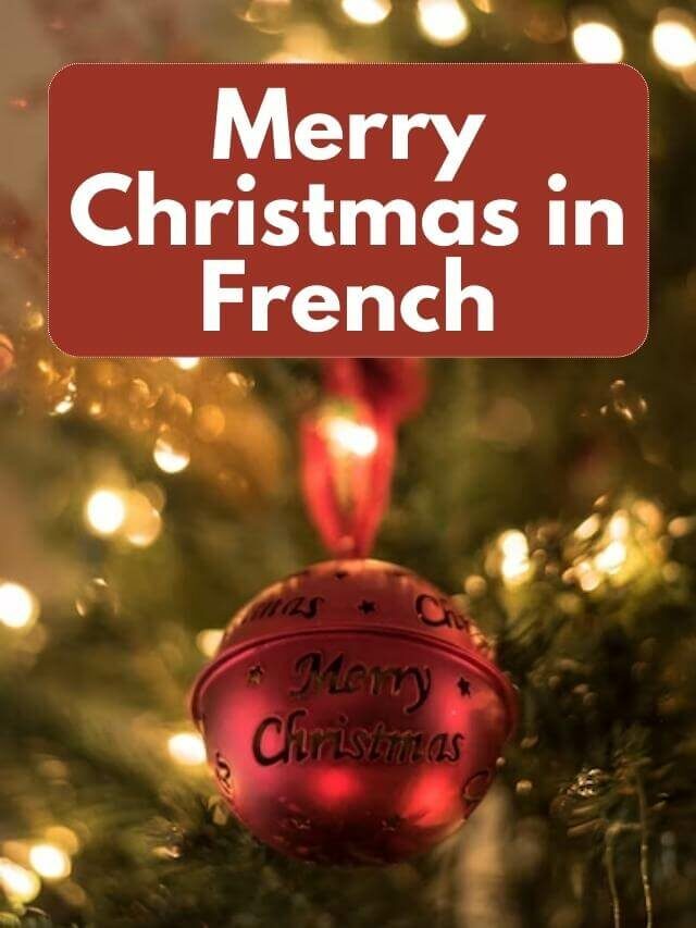 How To Express Holidays Happiness Merry Christmas In French?
